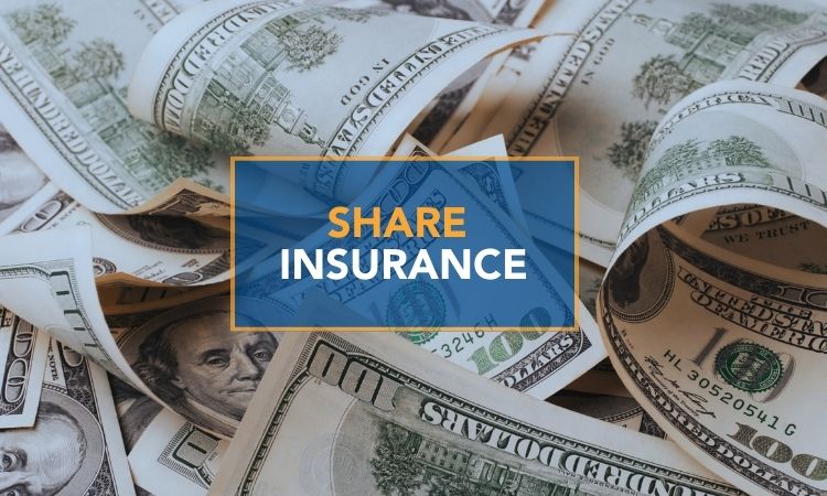 Understanding Share Insurance: What it is and what’s it’s purpose